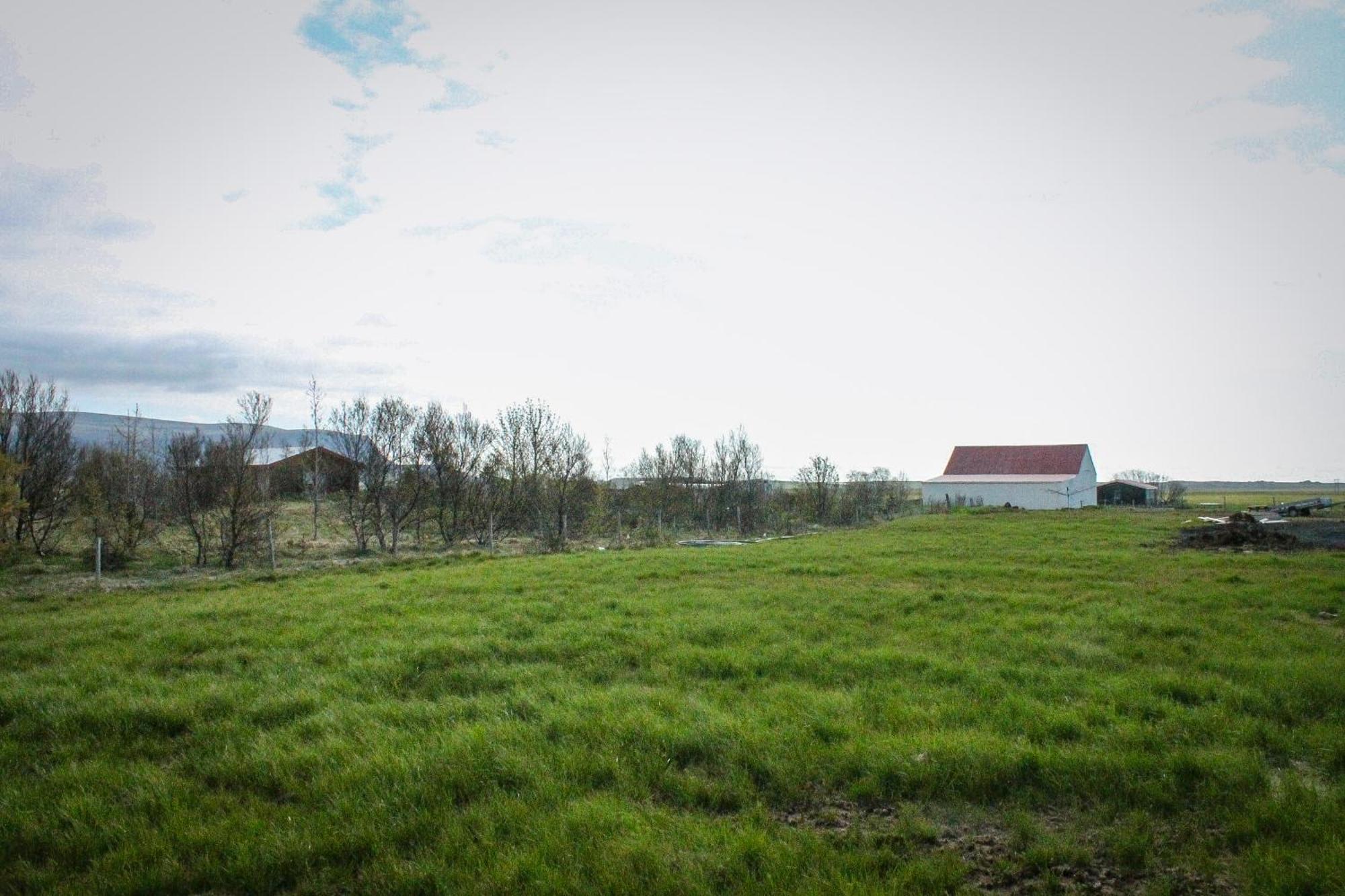 Sun-Cottage South Iceland Olfus Luaran gambar